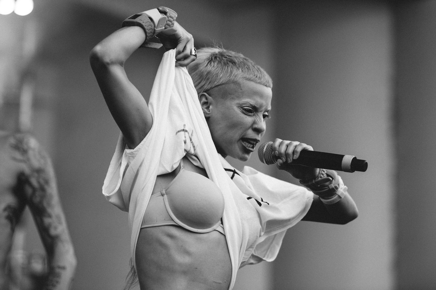Die Antwoord at Lollapalooza 2012.